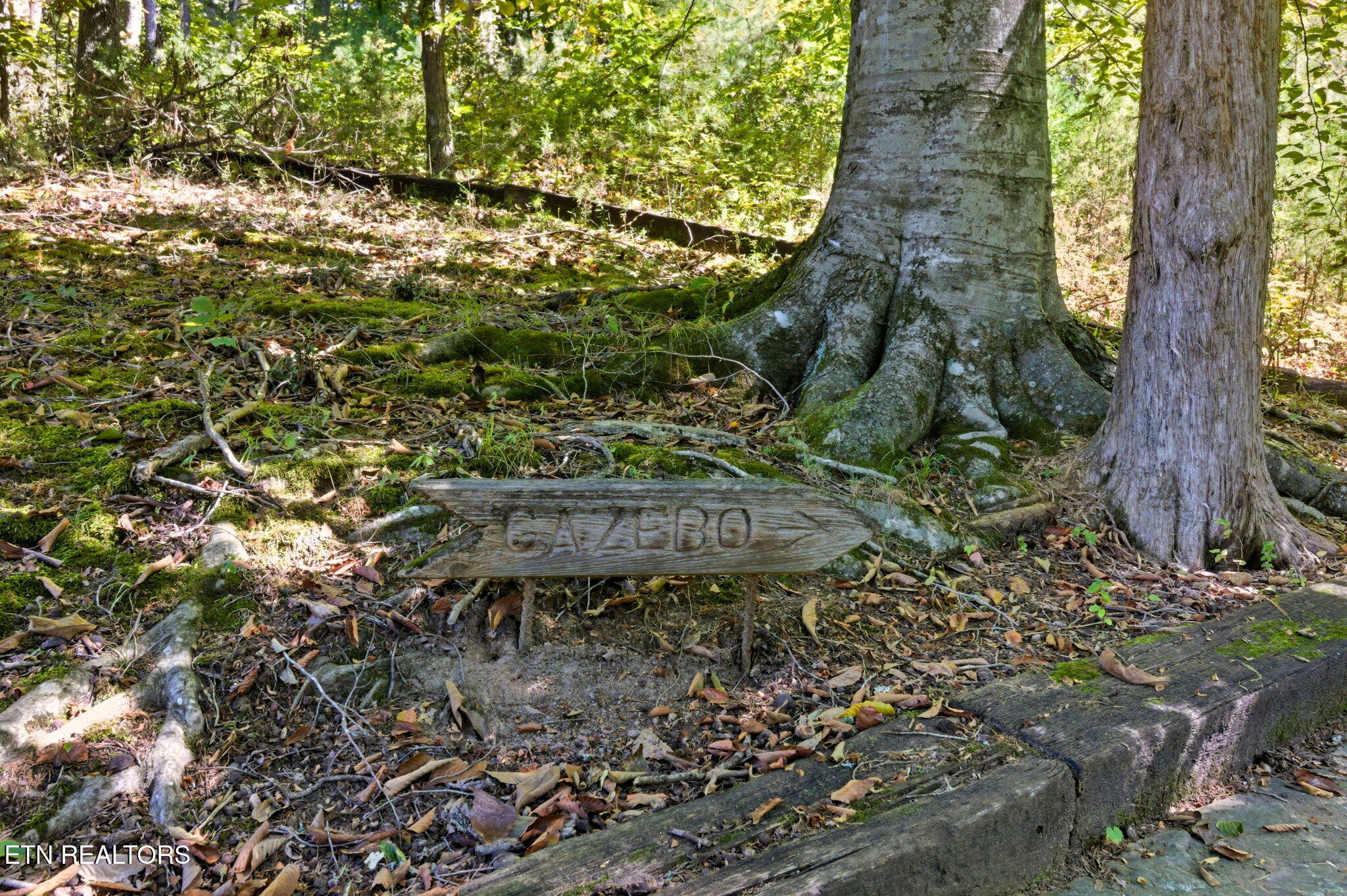 1356 Jayell Road Sevierville, TN 37862 - Photo 33 of 59 Pavilion directional