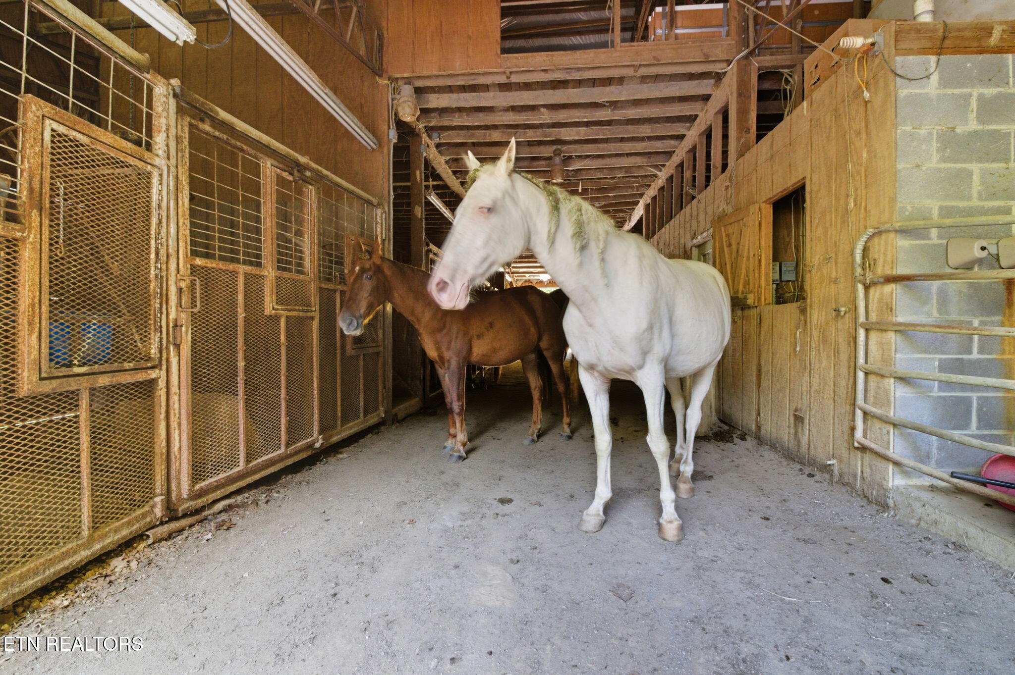 1356 Jayell Road Sevierville, TN 37862 - Photo 42 of 59 7 Stalls