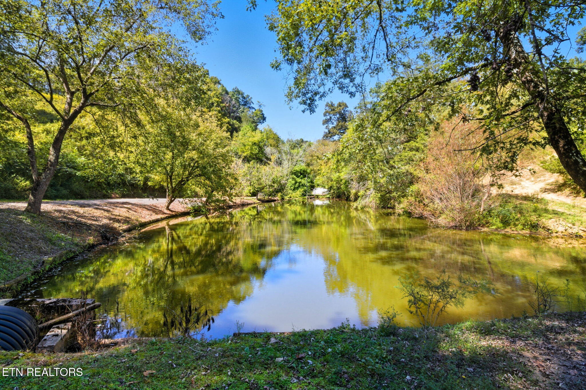 1356 Jayell Road Sevierville, TN 37862 - Photo 47 of 59 Private Pond