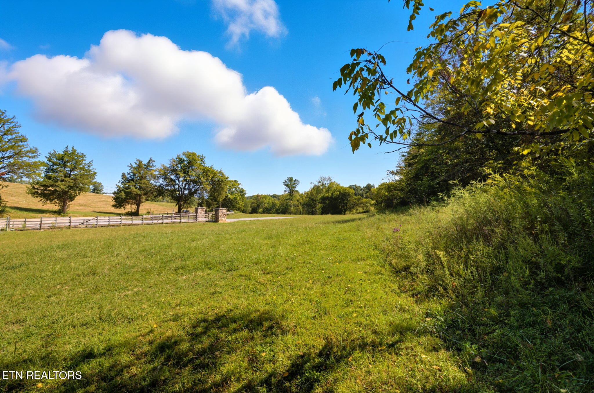 1356 Jayell Road Sevierville, TN 37862 - Photo 53 of 59 Front Pasture
