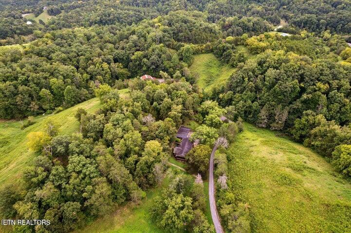 1356 Jayell Road Sevierville, TN 37862 - Photo 54 of 59 Arieal View