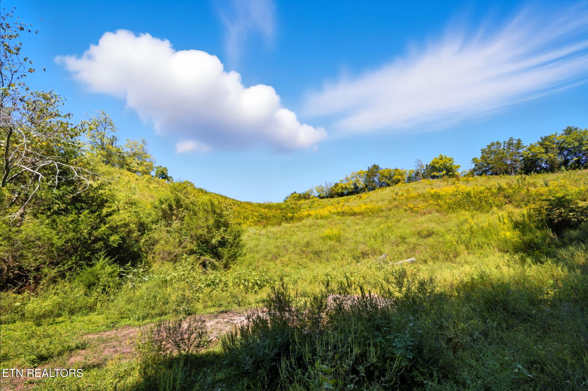 1356 Jayell Road Sevierville, TN 37862 - Photo 55 of 59 40 acres nearing