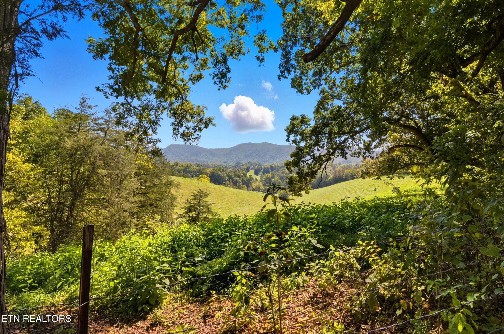 1356 Jayell Road Sevierville, TN 37862 - Photo 56 of 59 Pasture