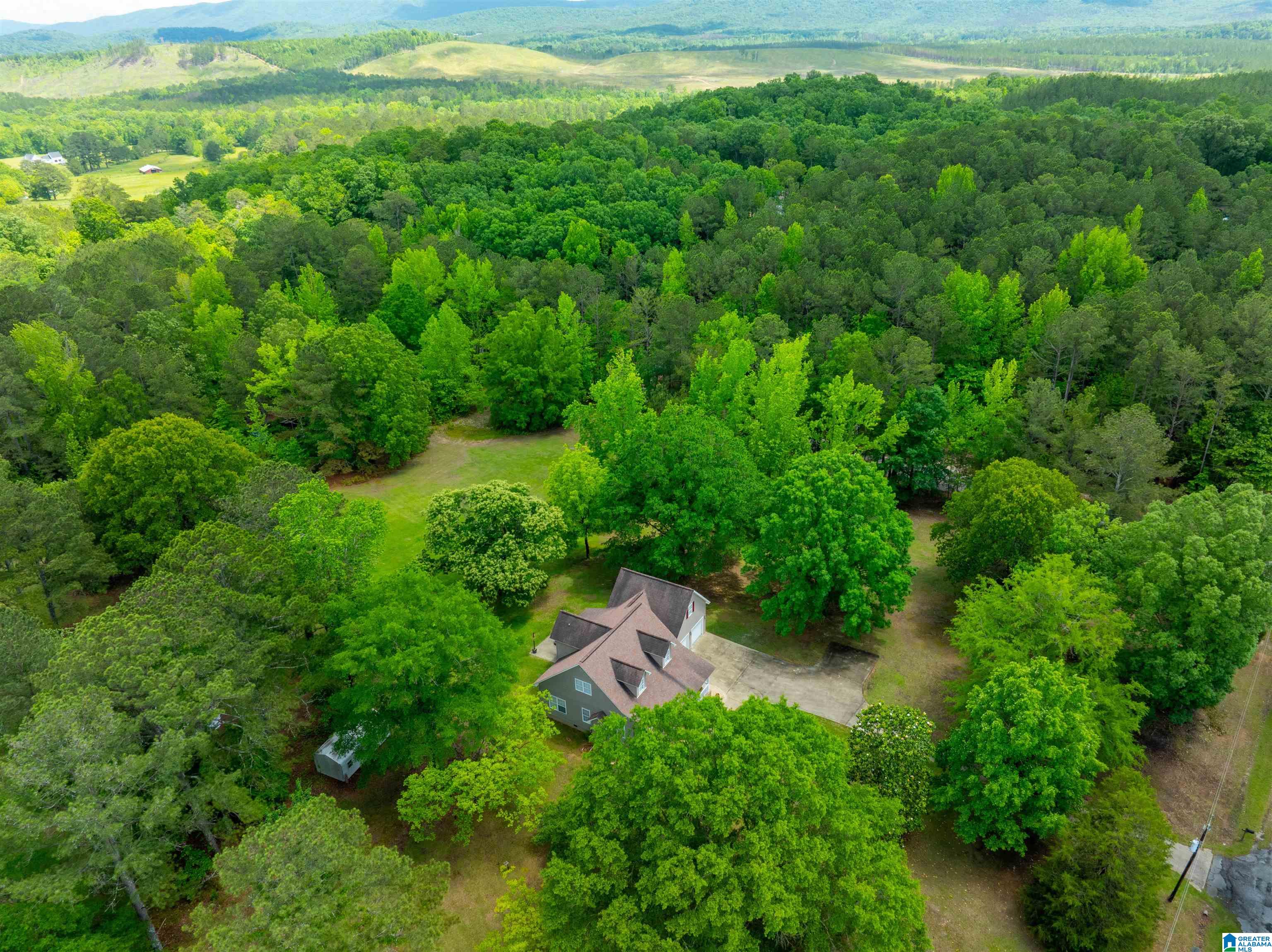 36 Woodlawn Road Piedmont, AL 36272 - Photo 4 of 53