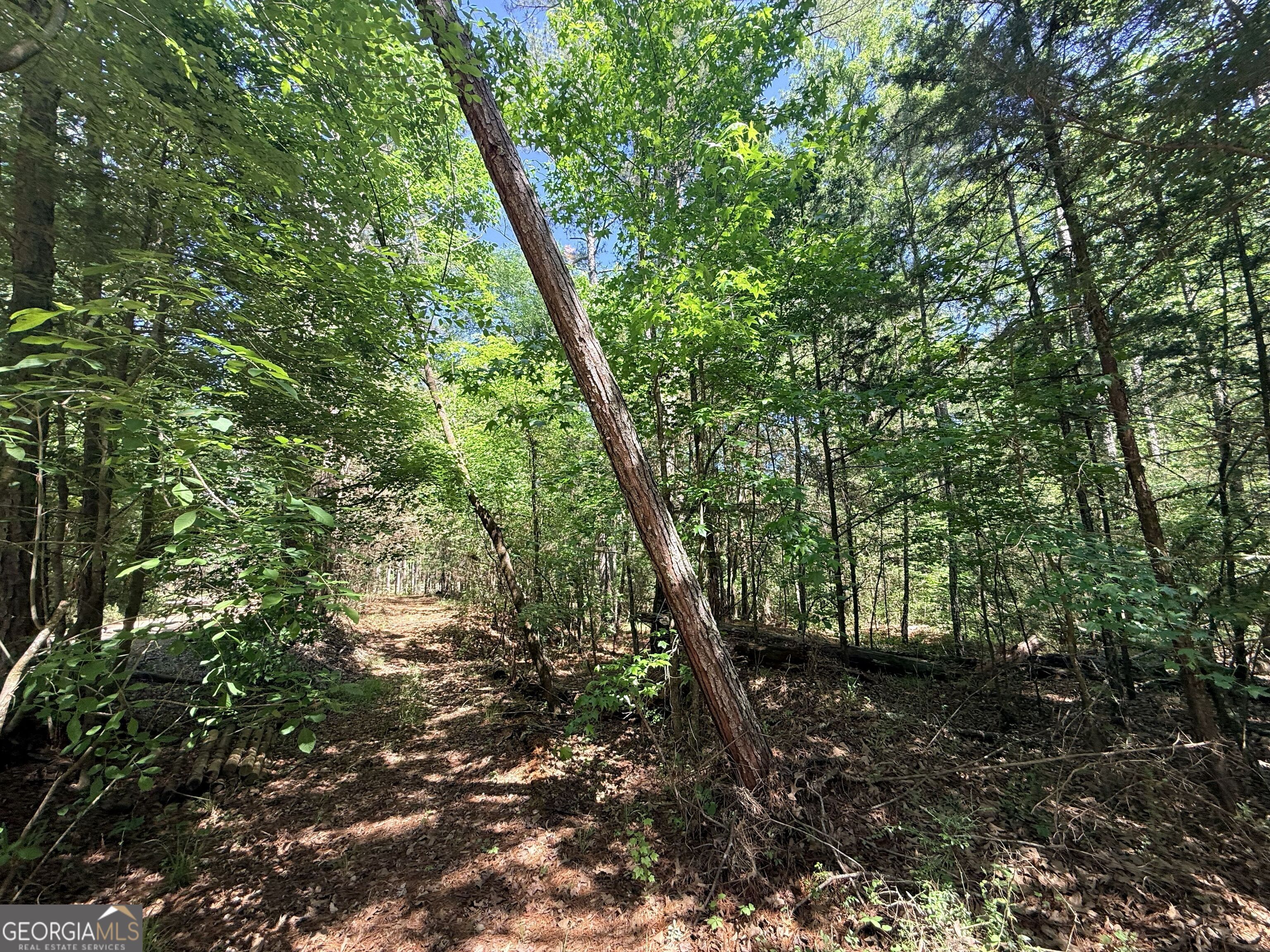 580 Saggus Road Washington, GA 30673 - Photo 20 of 54