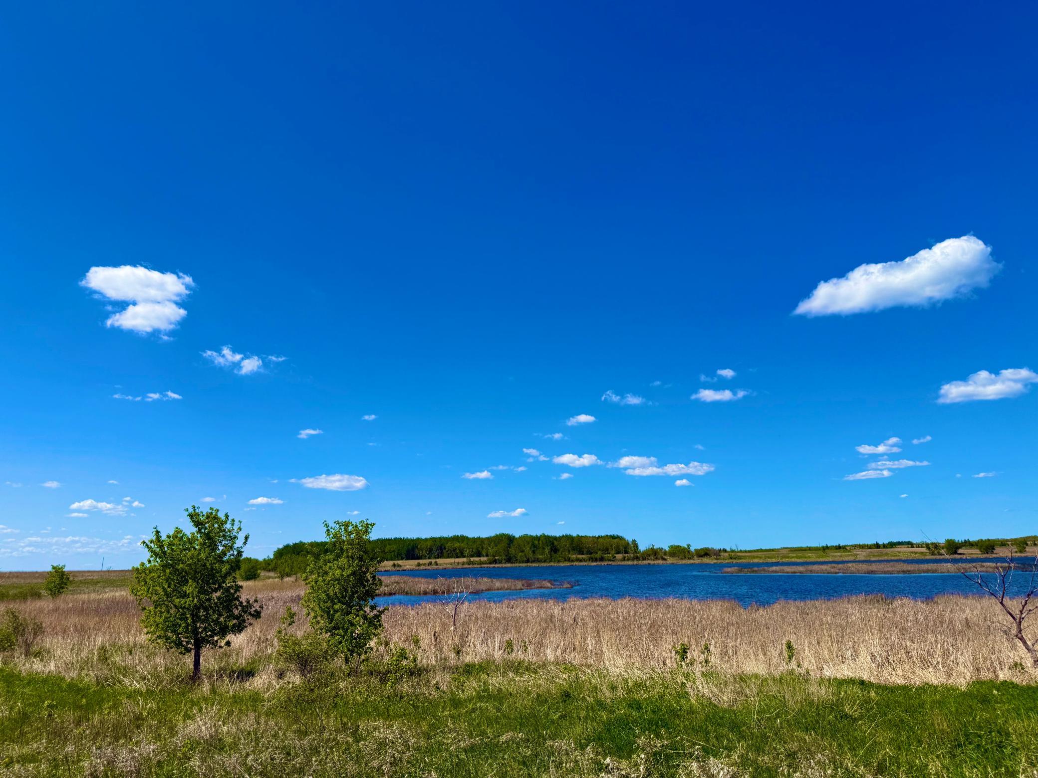 Tbd Tbd 240th Avenue Callaway, MN 56521 - Photo 28 of 29