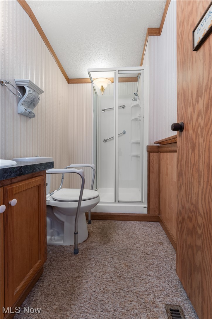 4455 Cleveland Road, Unit 6 Wooster, OH 44691 - Photo 27 of 40 Bathroom featuring vanity, a textured ceiling, a shower with door, crown molding, and toilet