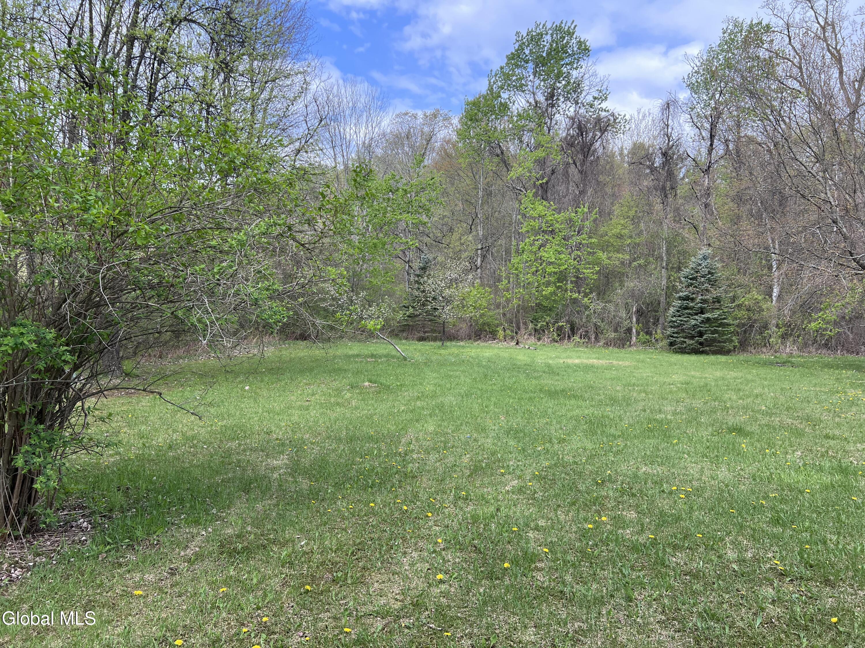 205 Deepkill Road Brunswick, NY 12180 - Photo 4 of 46 IMG_5366