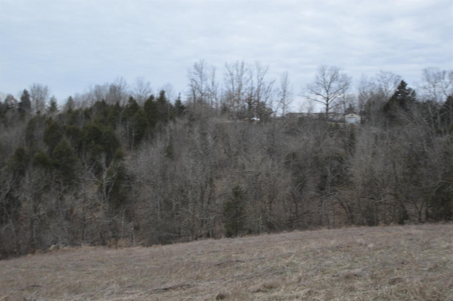 1170 Dennis Road, Unit 9 Lawrenceburg, KY 40342 - Photo 3 of 12 View of Tract 9 from Tract 8. Boundary