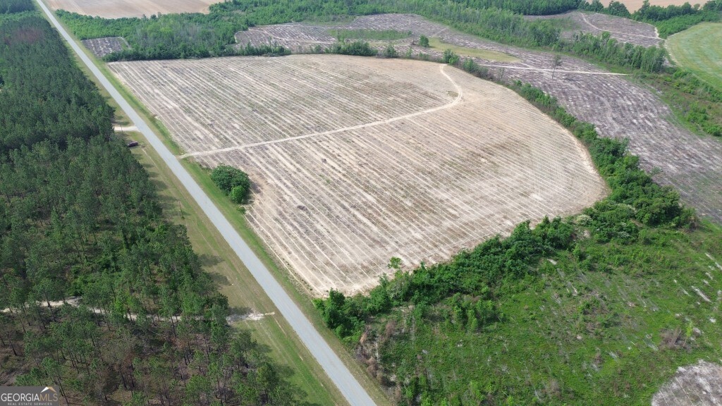 0 Bunn Store Road, Unit TRACT 3 Midville, GA 30441 - Photo 3 of 10