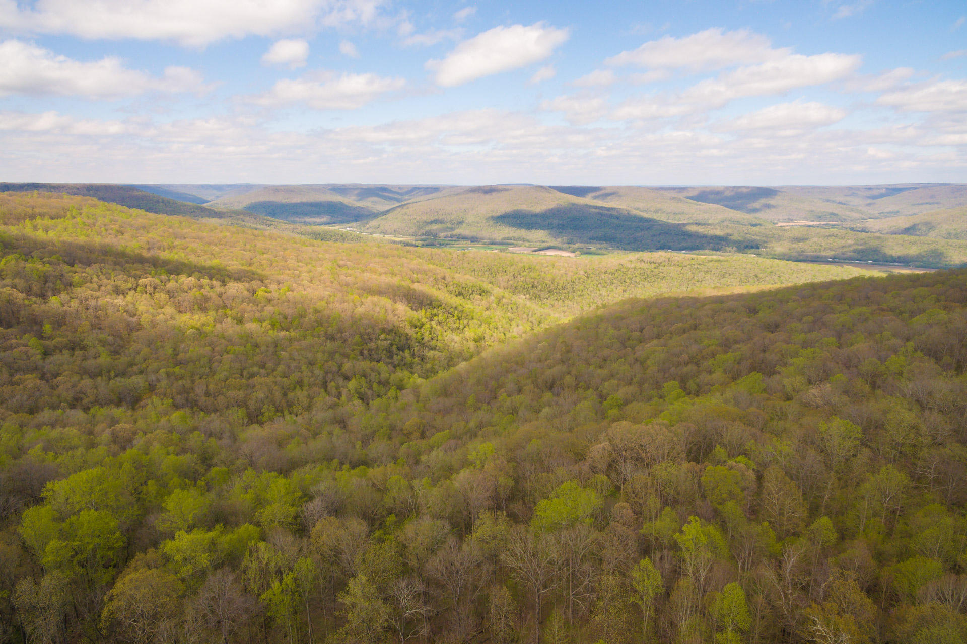 3035 Jackson Point Road Sewanee, TN 37375 - Photo 4 of 37 Breathtaking views