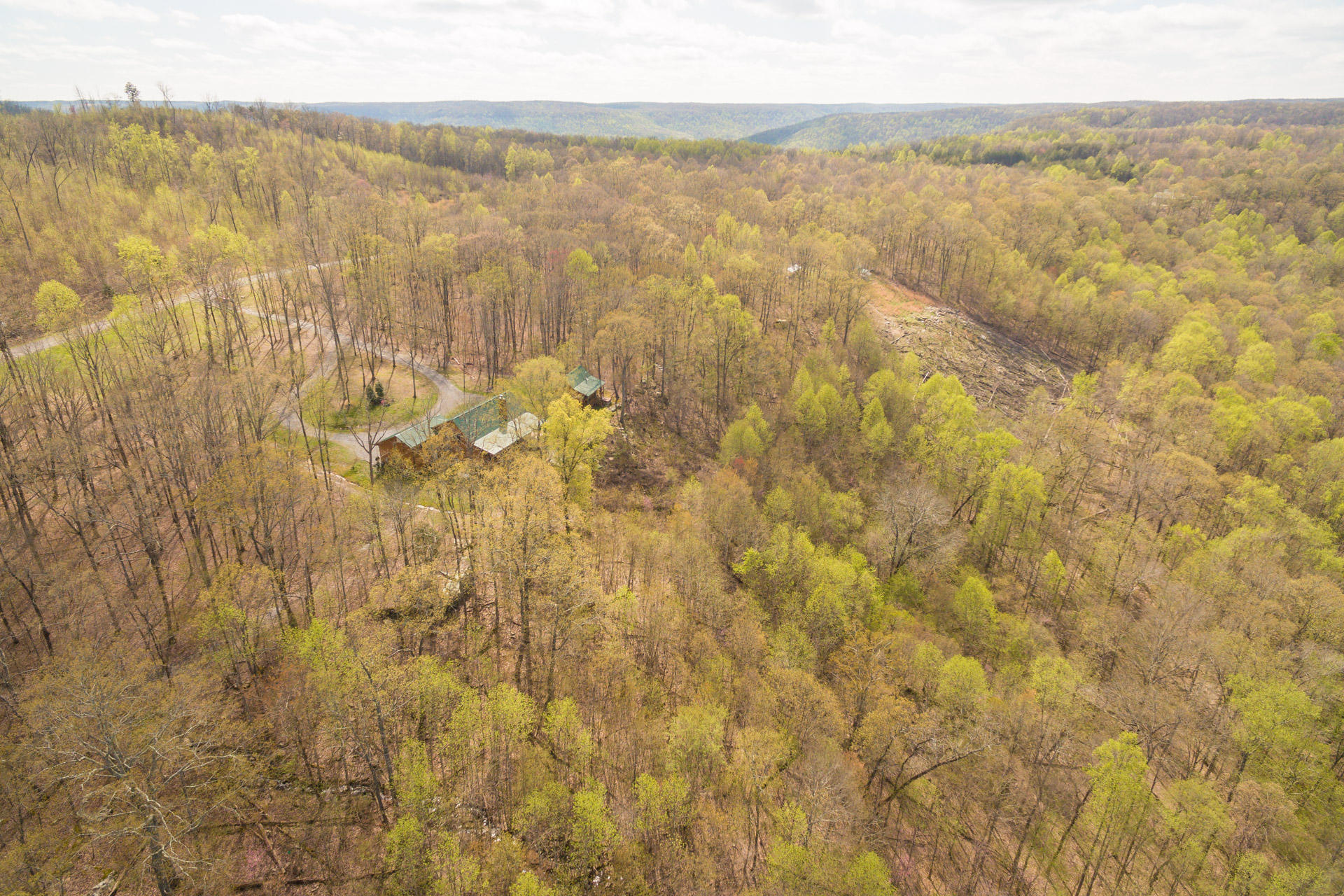 3035 Jackson Point Road Sewanee, TN 37375 - Photo 5 of 37 Over 2.5 acres