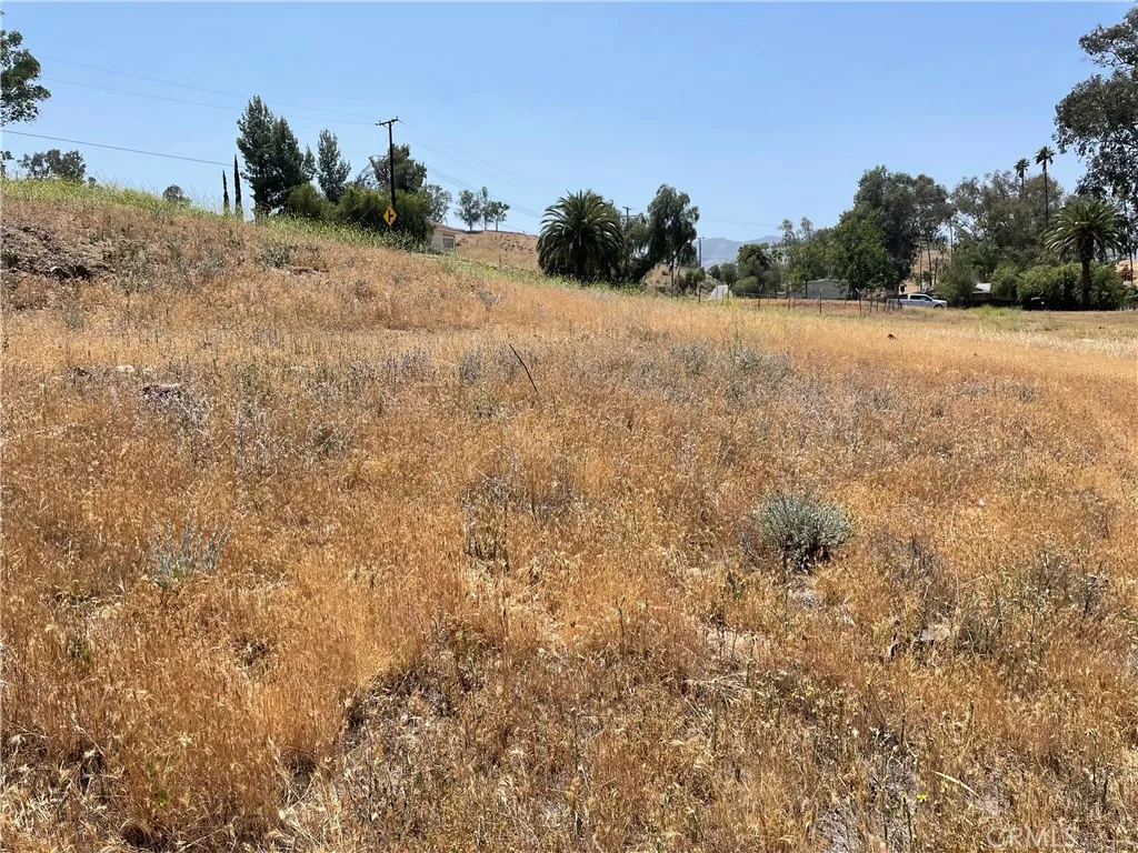 15 Riverside Lake Lake Elsinore, CA 92530 - Photo 13 of 34 a view of a field with trees in background