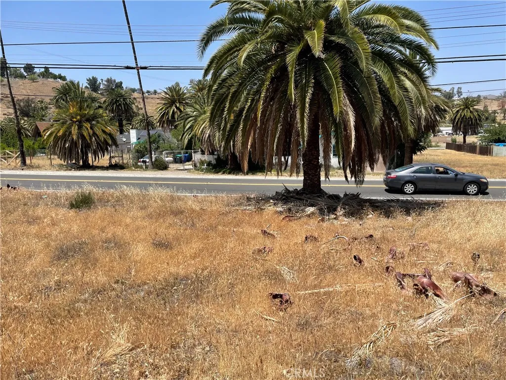 15 Riverside Lake Lake Elsinore, CA 92530 - Photo 2 of 34 a view of a backyard with palm trees
