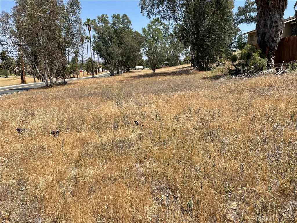 15 Riverside Lake Lake Elsinore, CA 92530 - Photo 27 of 34 a view of empty space with trees