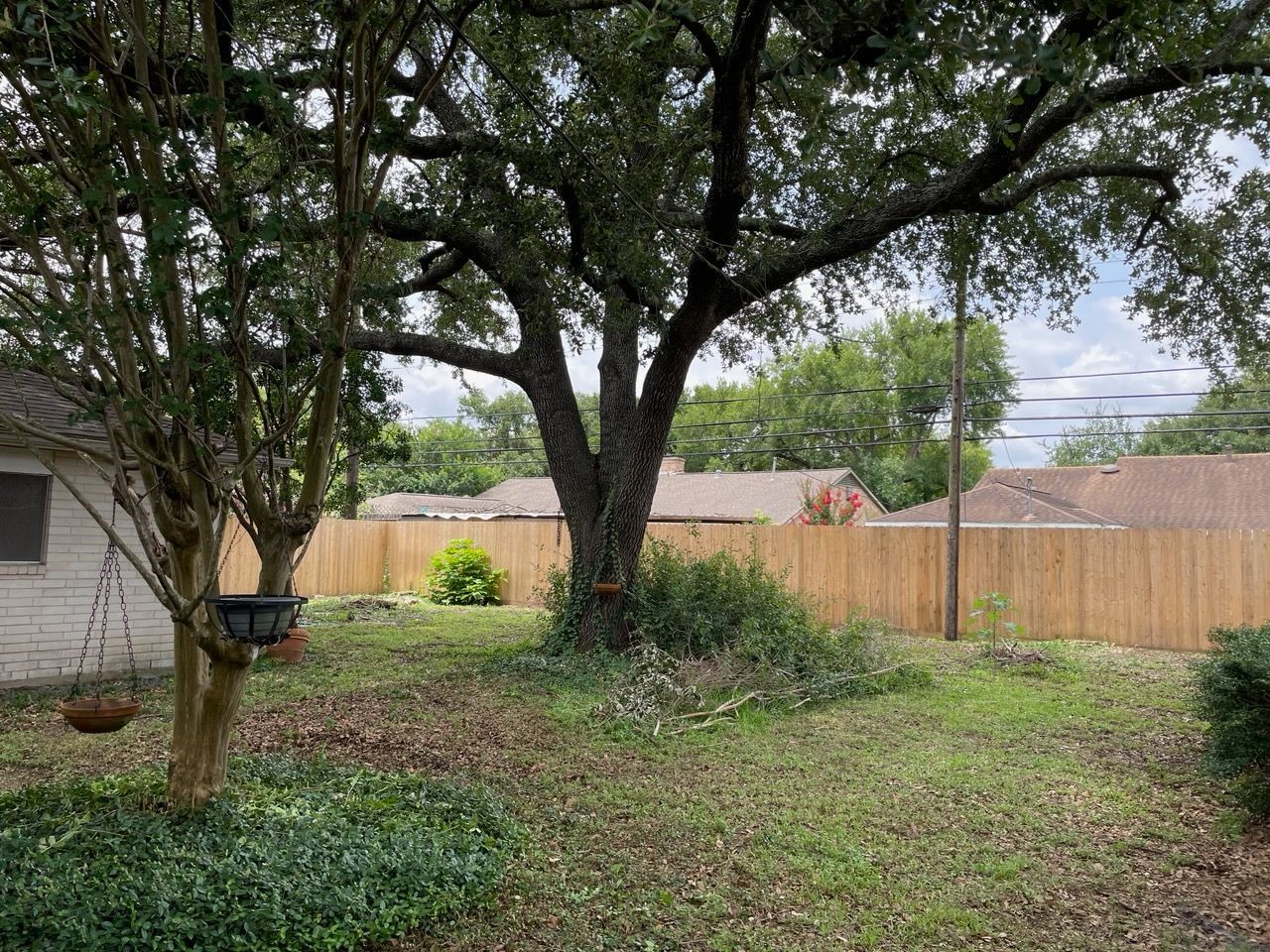 11618 Hillcroft Street Houston, TX 77035 - Photo 6 of 6 a view of backyard with tree