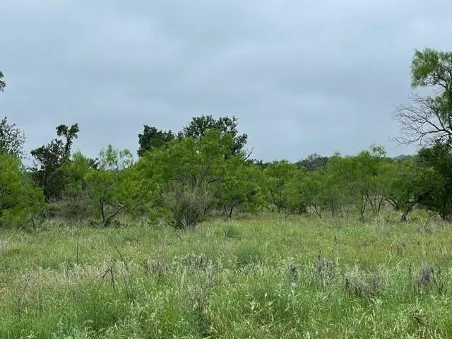 a view of a field of grass and trees