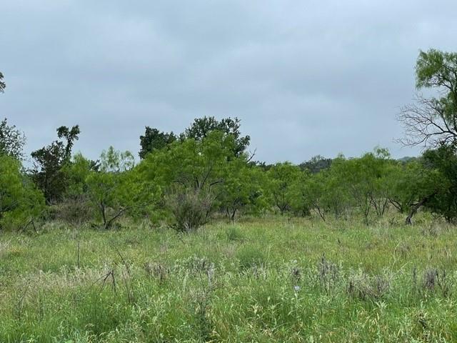 a view of a field of grass and trees