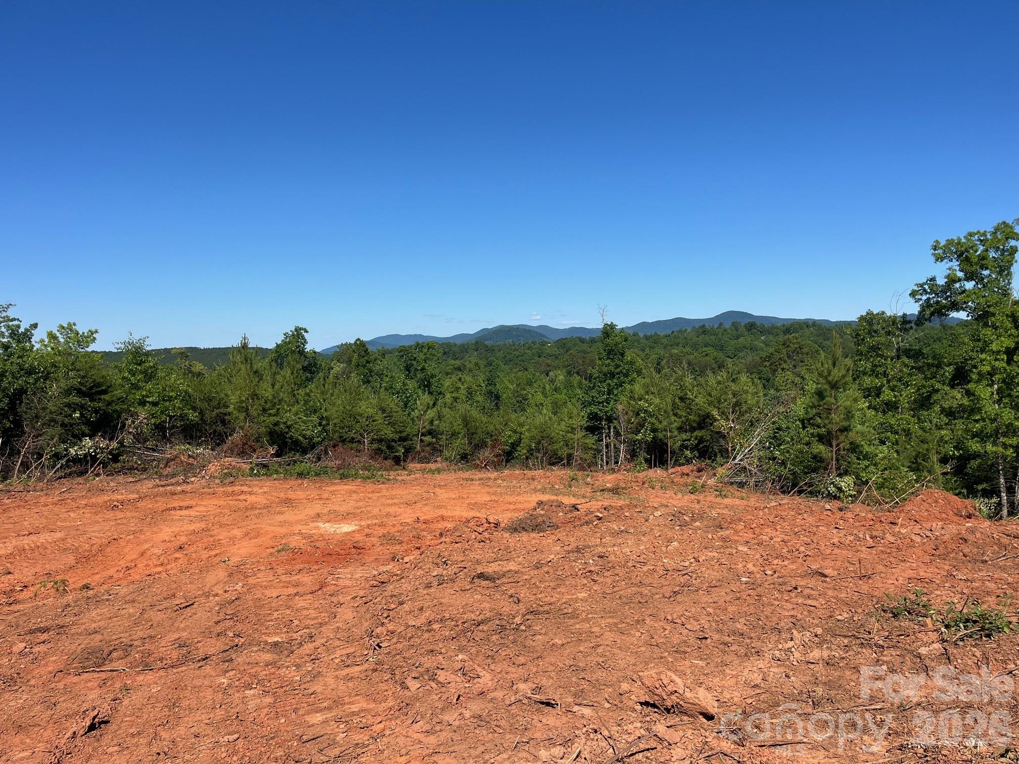 Tbd Vein Mountain Road, Unit 20 Nebo, NC 28761 - Photo 16 of 17
