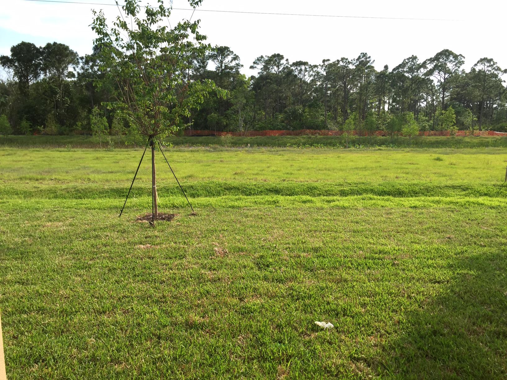 5938 Southeast Entry Court Stuart, FL 34997 - Photo 24 of 37 Rear Yard