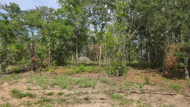 a view of outdoor space and trees