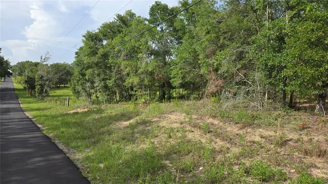 a view of a lush green space