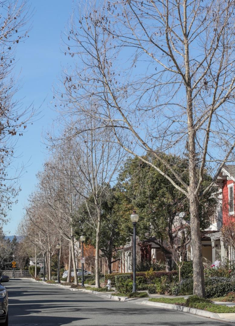 920 Rincon Street Mountain View, CA 94040 - Photo 44 of 45 a view of a city view