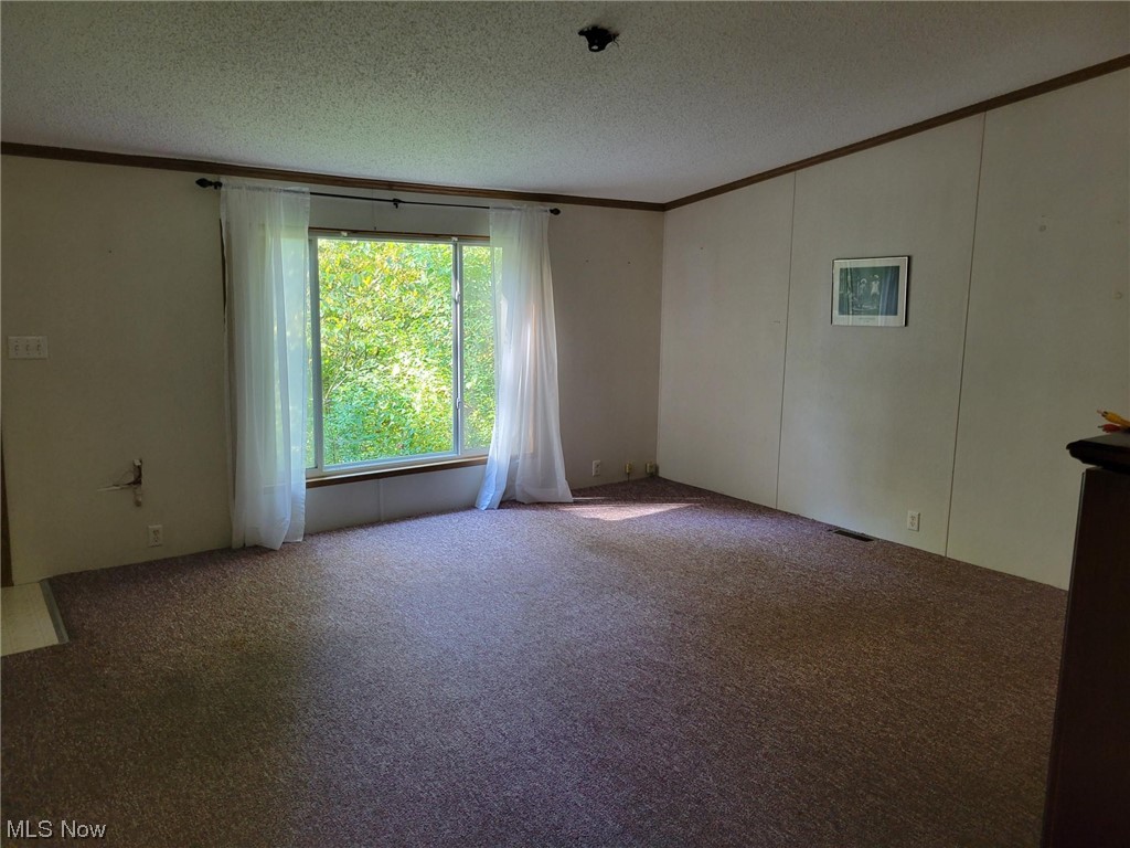 2450 Ferguson Road McConnelsville, OH 43756 - Photo 2 of 13 Empty room featuring a textured ceiling, crown molding, and carpet flooring