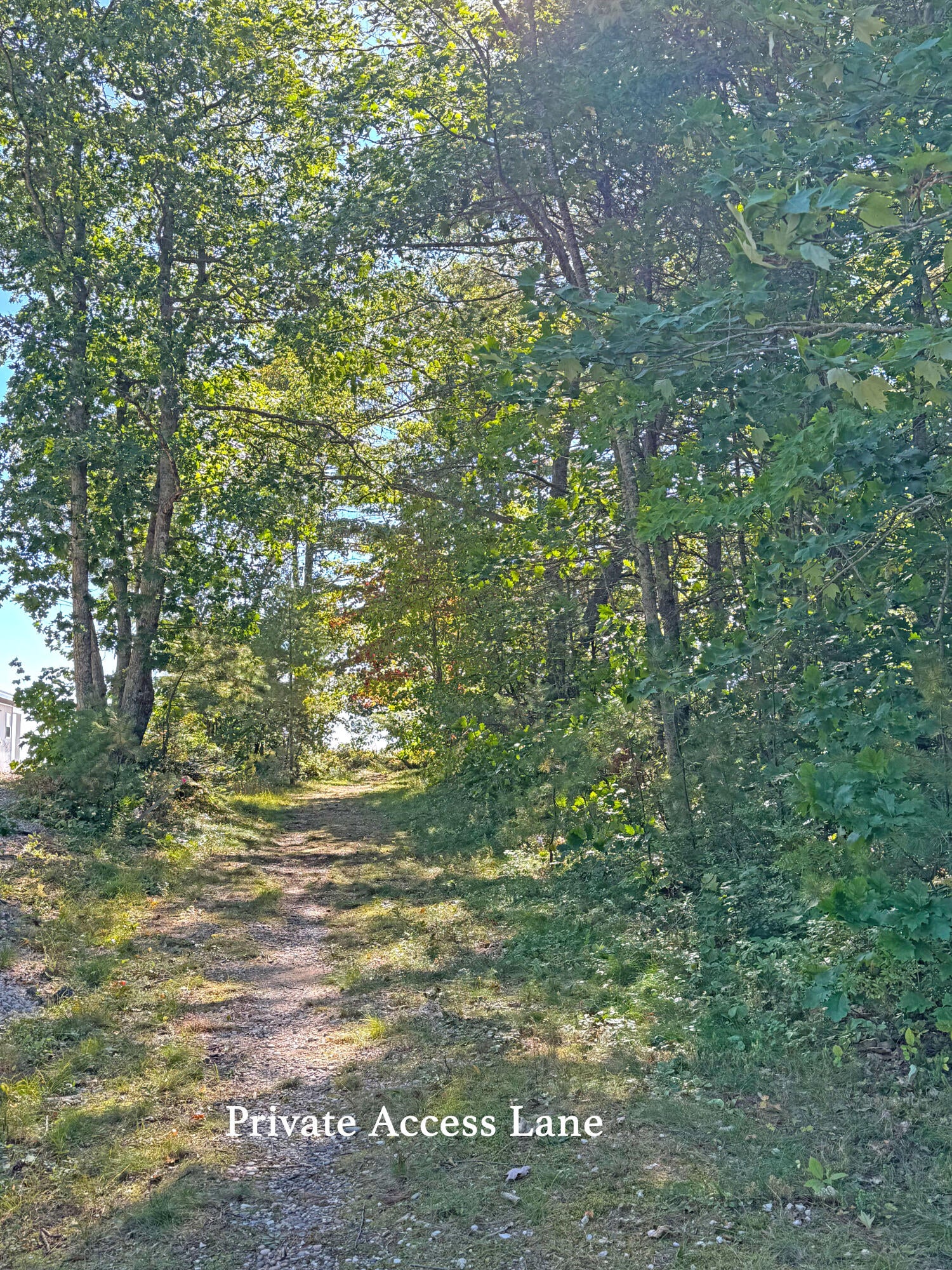 15614 North Whitefish Point Road Paradise, MI 49768 - Photo 104 of 107 Gallery Image 104