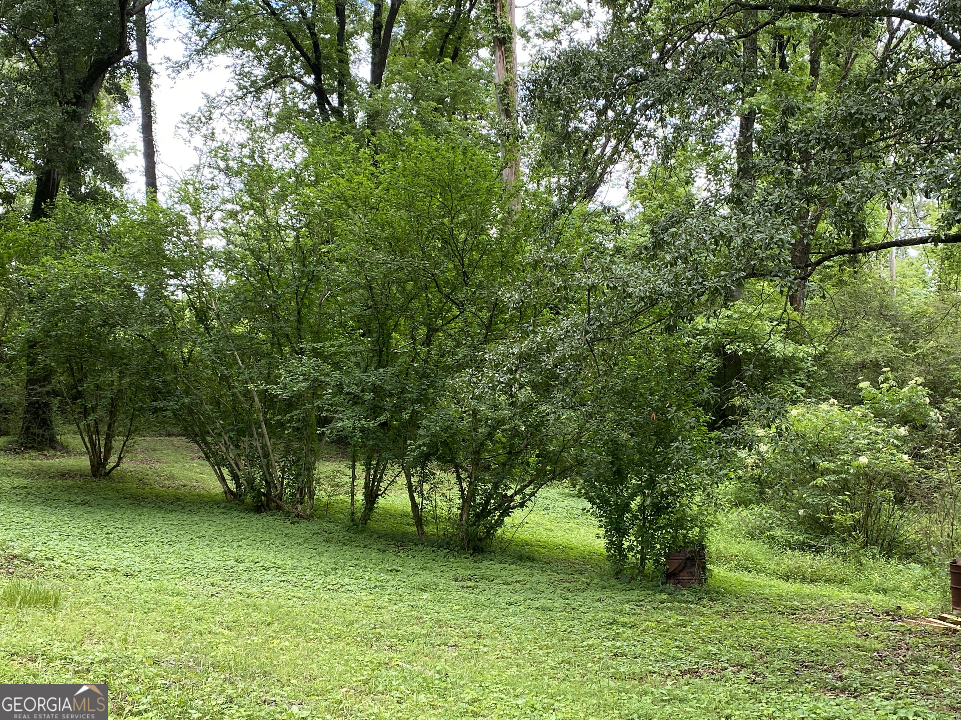 5 Red Fox Drive Southwest Rome, GA 30165 - Photo 3 of 22 a view of a trees in a yard