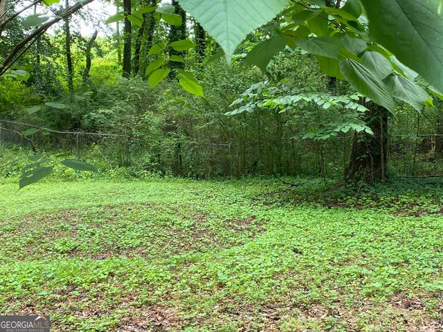 a view of outdoor space and yard