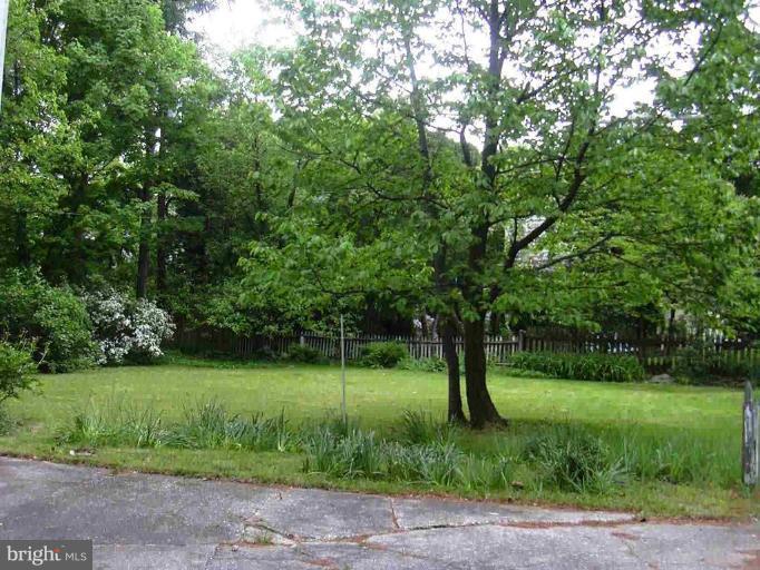 903 Pemberton Road Baltimore, MD 21212 - Photo 2 of 5 a view of a park with large trees