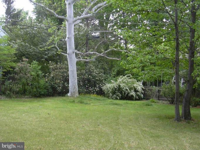903 Pemberton Road Baltimore, MD 21212 - Photo 3 of 5 a view of a yard with a tree