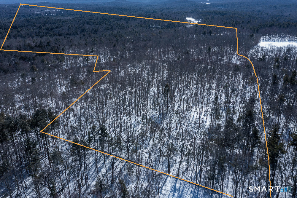 Kozey Road Eastford, CT 06242 - Photo 5 of 14 Boundaries are approximate View looking south. southernboarder is Yale Meyers Forest and Natchaug State Forest.