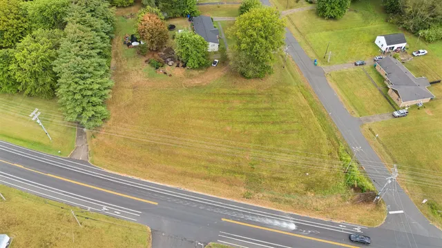 a view of a swimming pool with potted plants