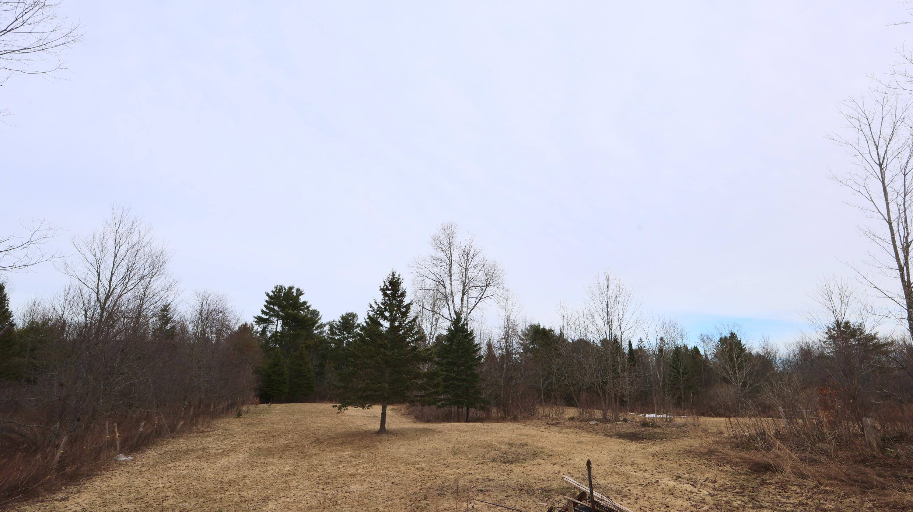 45 Harmony Road Wellington, ME 04942 - Photo 6 of 65 IMG_5918