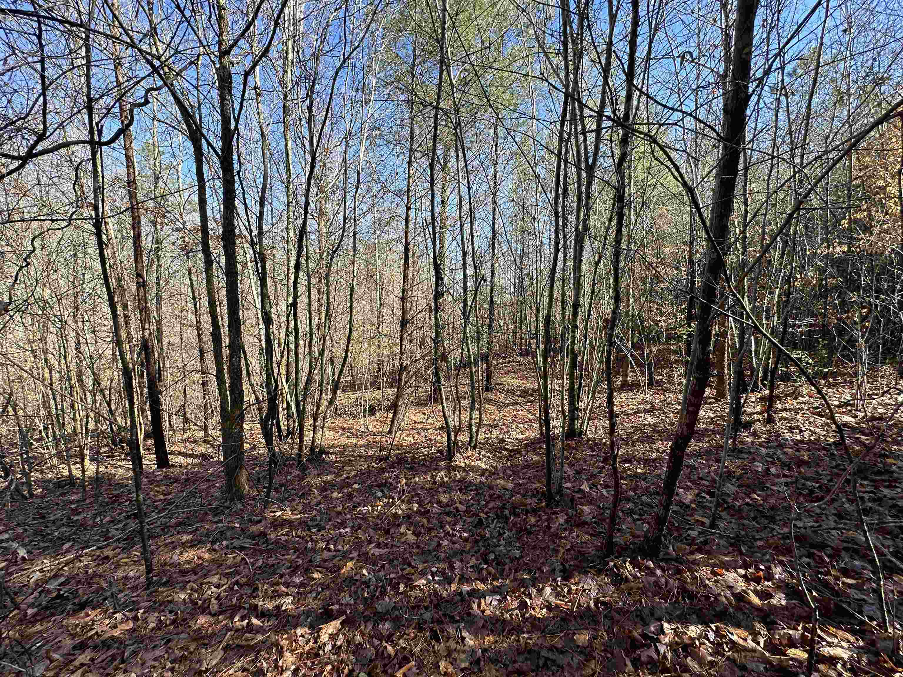 0 Plantation Trail Gaffney, SC 29340 - Photo 1 of 5 Gallery Image 1
