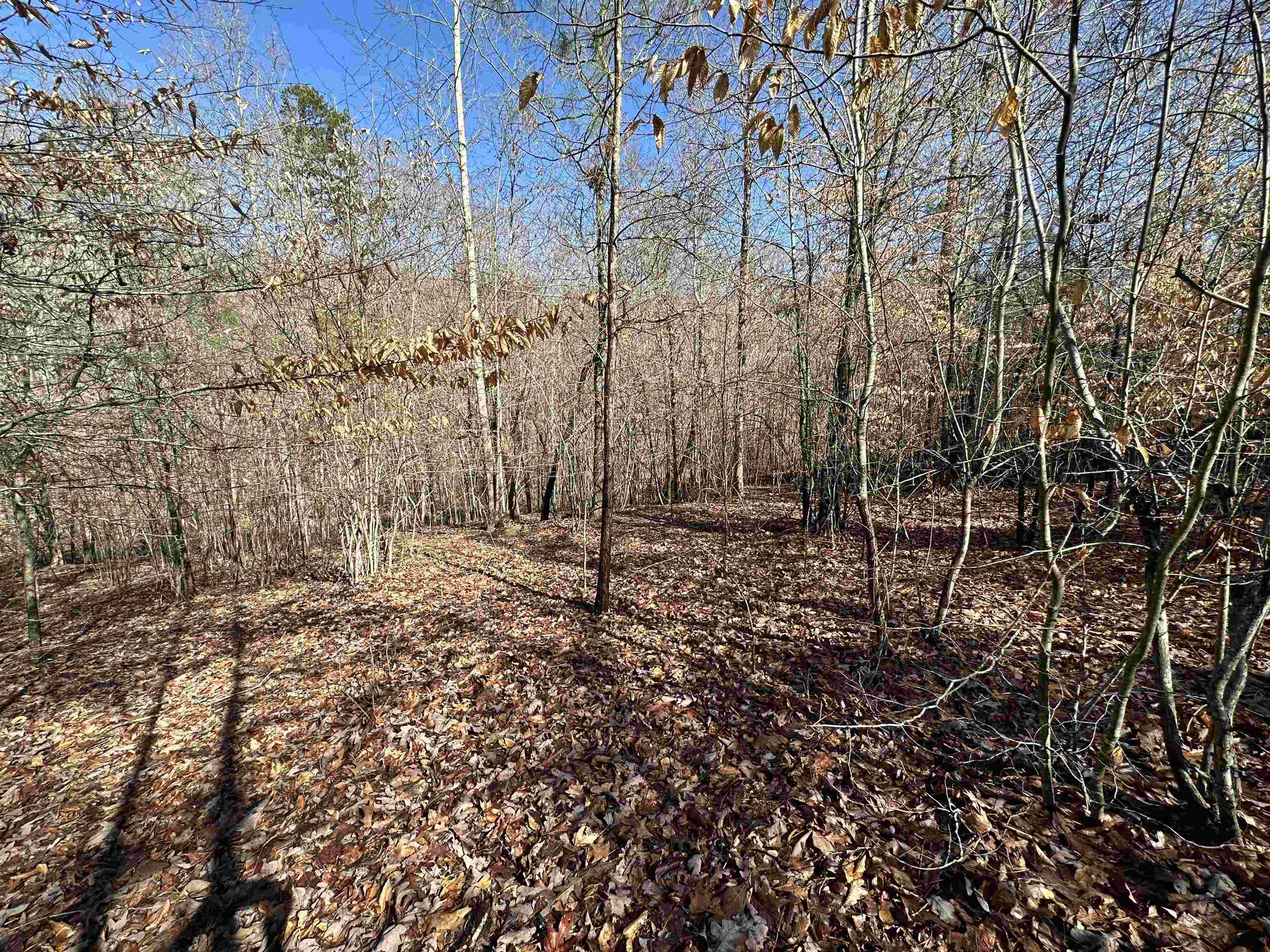 0 Plantation Trail Gaffney, SC 29340 - Photo 3 of 5 Gallery Image 3