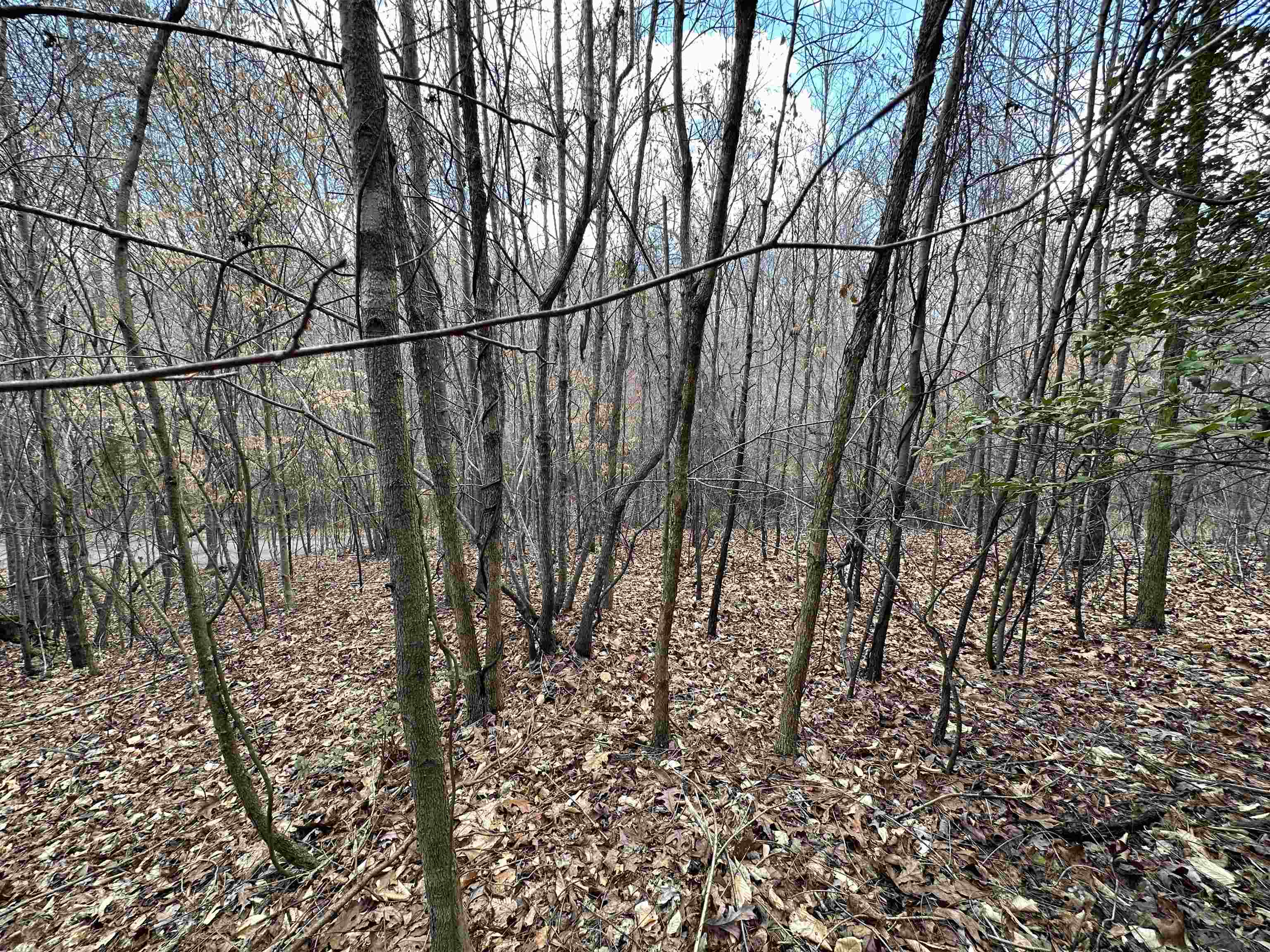 0 Plantation Trail Gaffney, SC 29340 - Photo 5 of 5 Gallery Image 5
