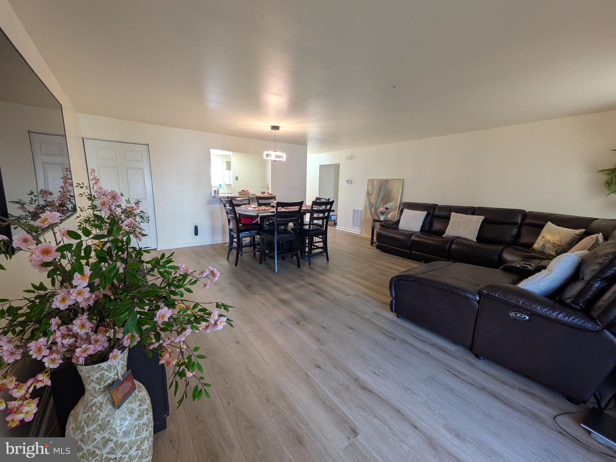 4240 Applegate Lane, Unit 5 Suitland, MD 20746 - Photo 3 of 27 a living room with furniture and a potted plant