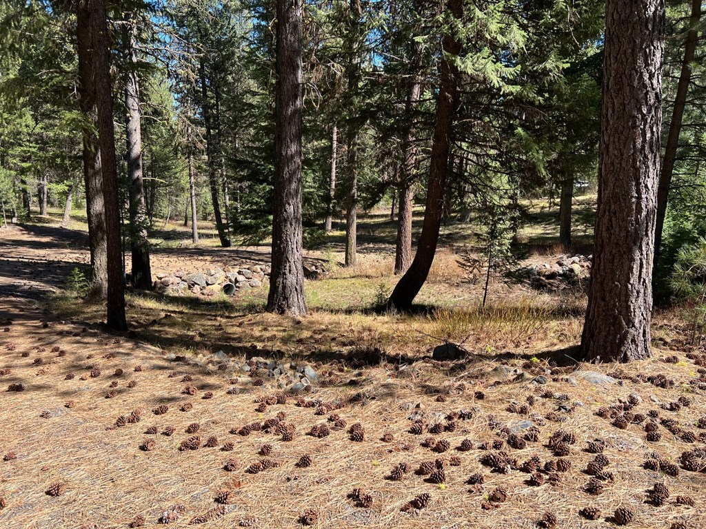 B24-l2 Vardon Road, Unit 2 New Meadows, ID 83654 - Photo 9 of 16