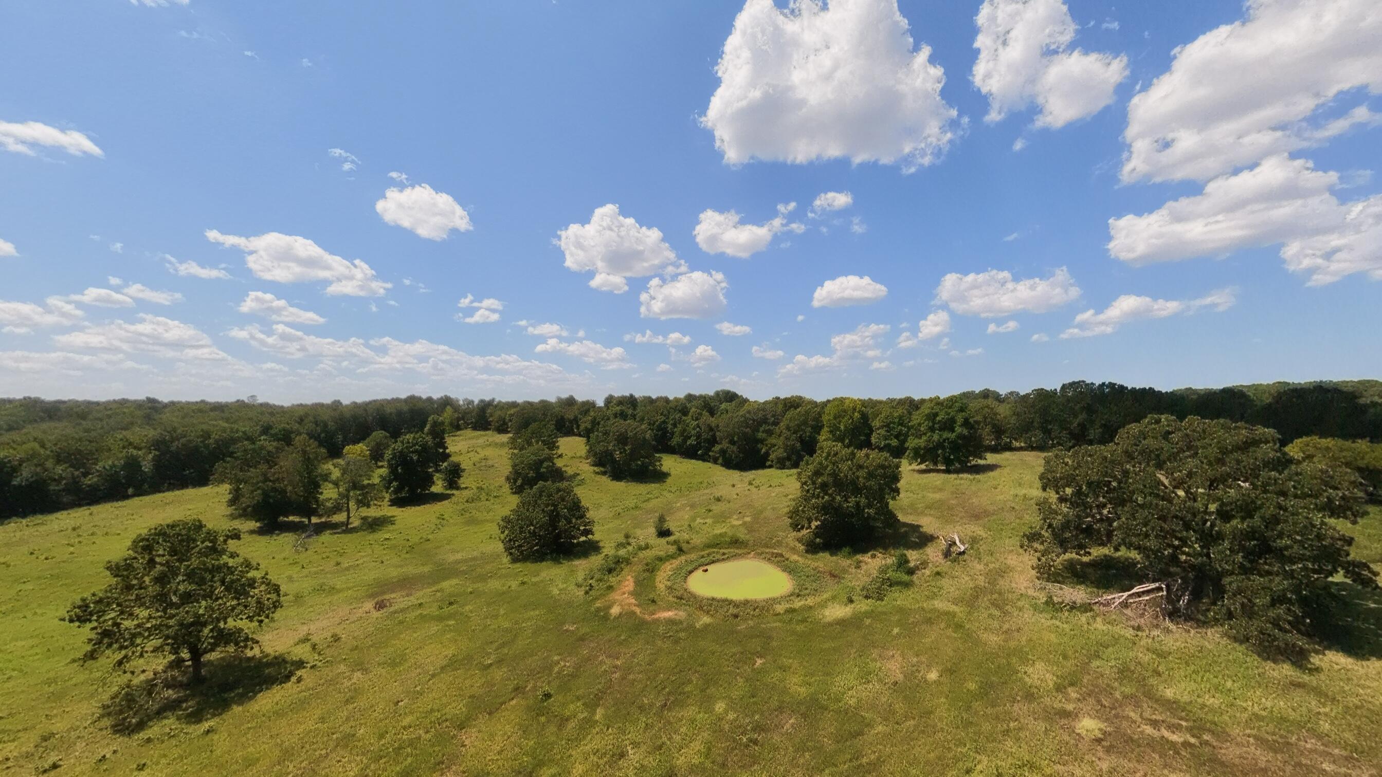 0 Bamber Street Mammoth Spring, AR 72554 - Photo 9 of 39 32+_- Acres007