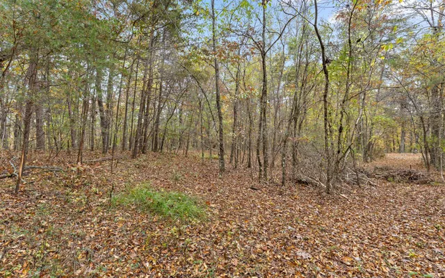a view of city and mountains