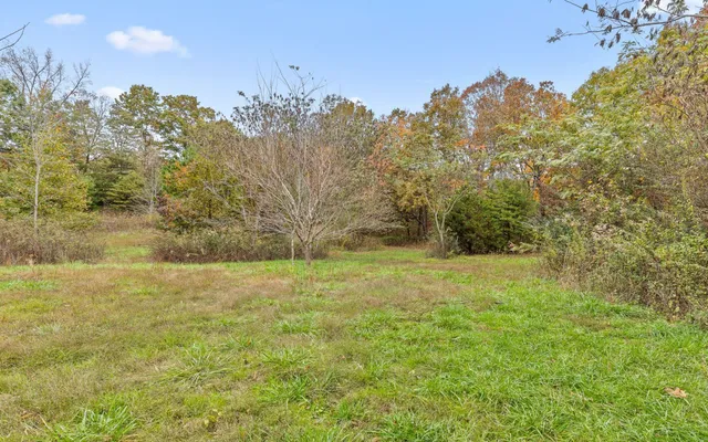 a view of a yard with a tree