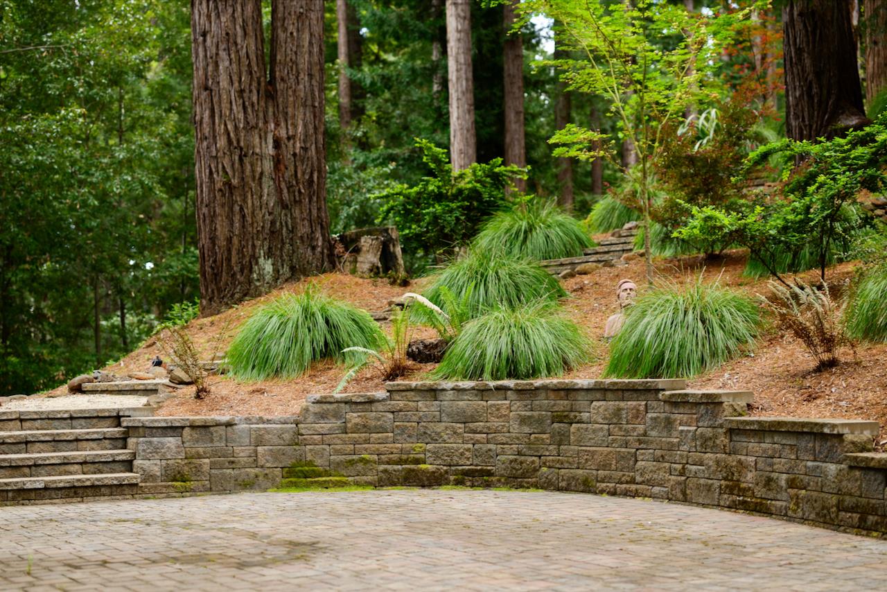 295 Jim's Road Ben Lomond, CA 95005 - Photo 125 of 139 a small garden covered with tall trees