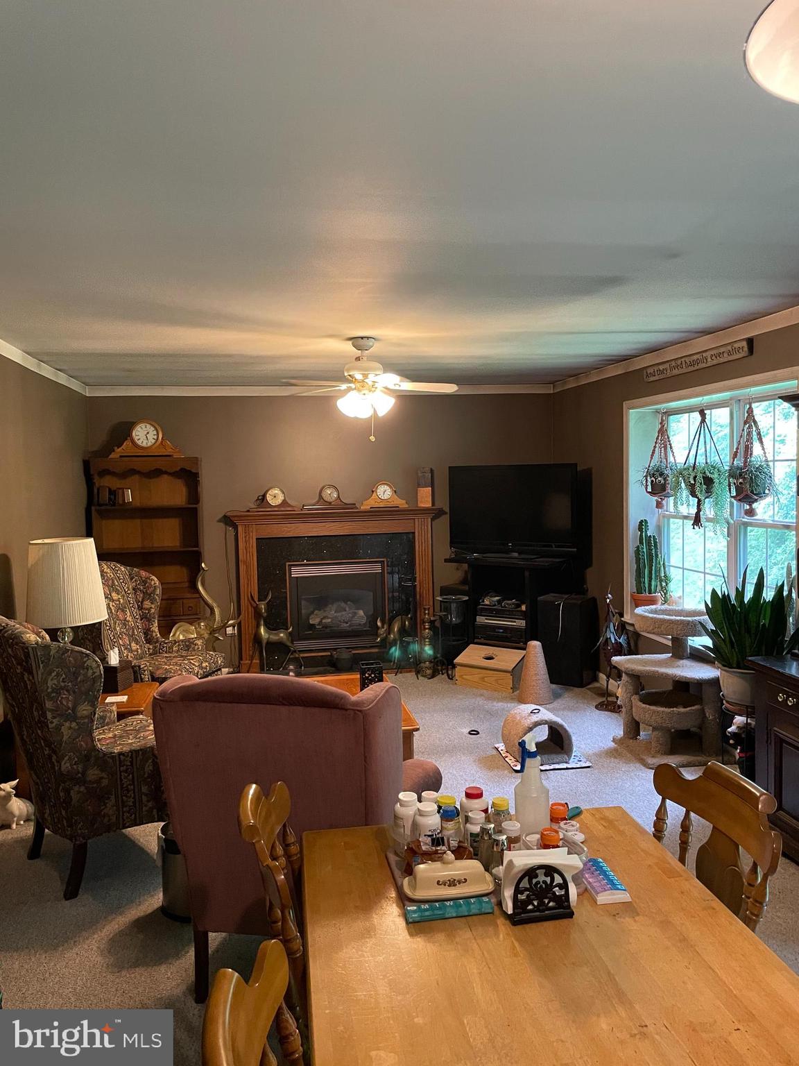587 Forgedale Road Barto, PA 19504 - Photo 10 of 25 Gallery Image 10