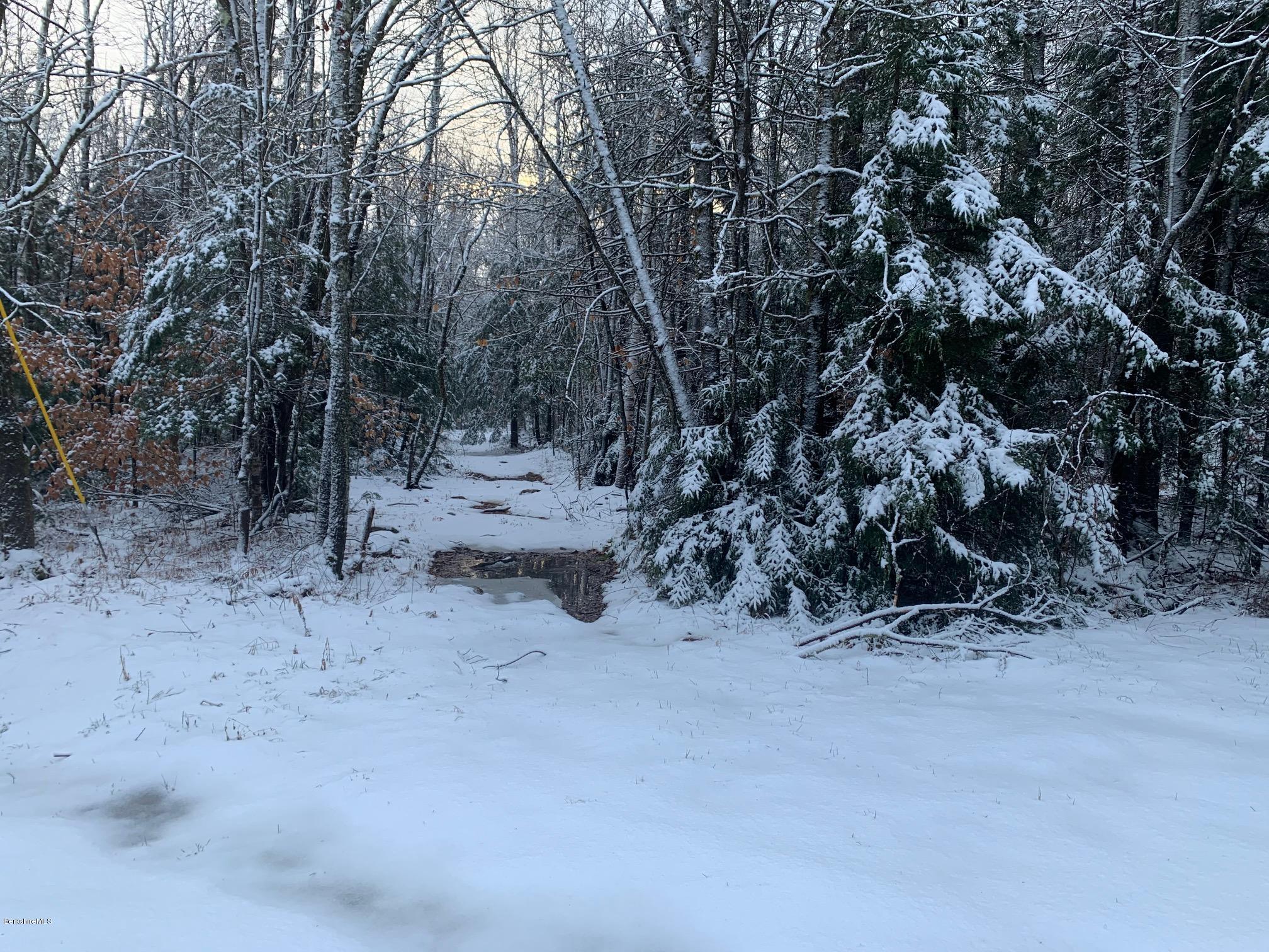 0 Flintstone Road Windsor, MA 01270 - Photo 1 of 3 land