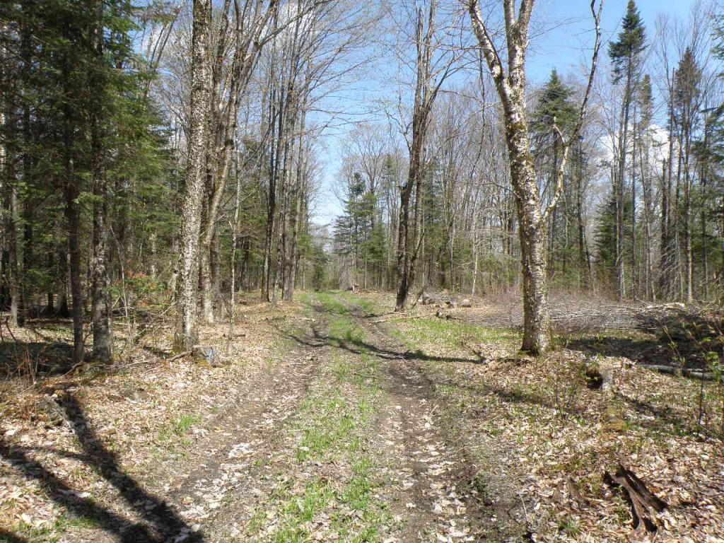 0 Sheffield Square Road Sheffield, VT 05866 - Photo 5 of 10