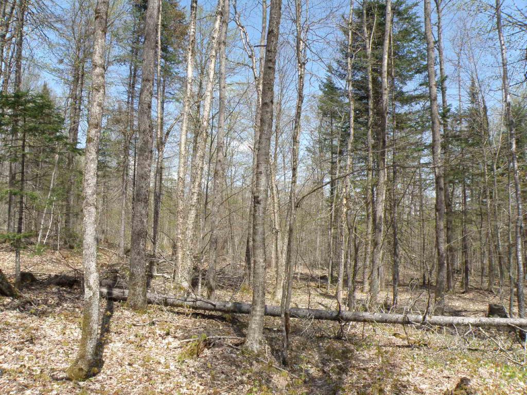 0 Sheffield Square Road Sheffield, VT 05866 - Photo 6 of 10