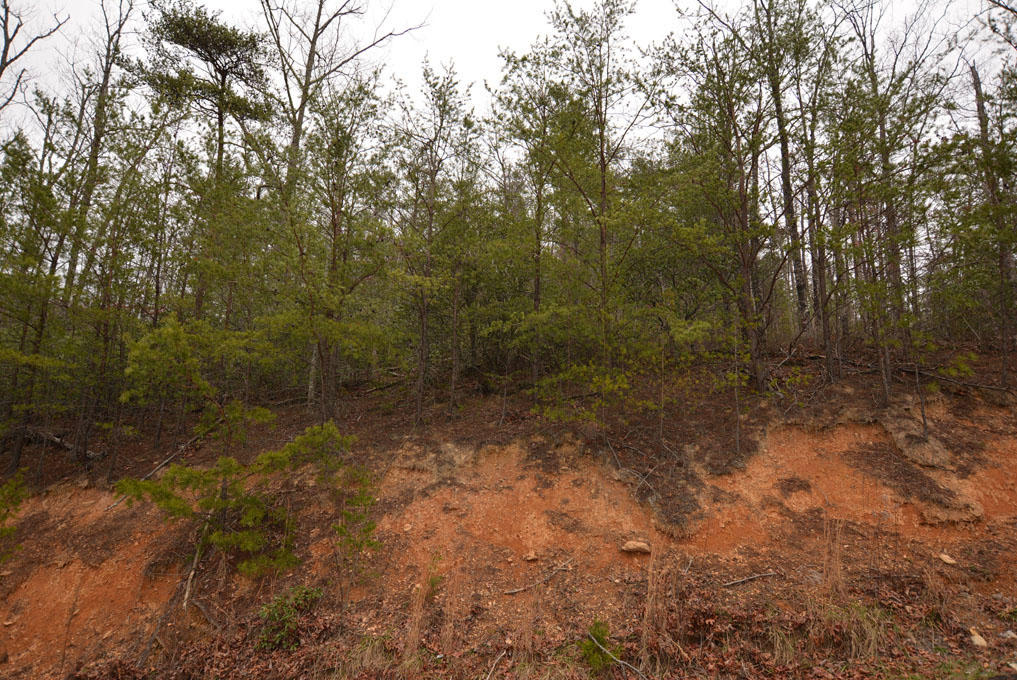 Lot 69 Big Bear Ridge Road Gatlinburg, TN 37738 - Photo 1 of 10 A